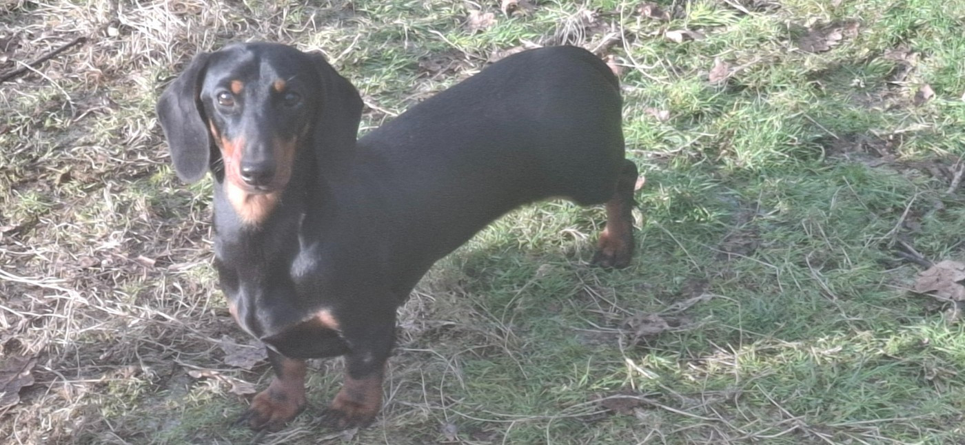 very chic lady (Sans Affixe)